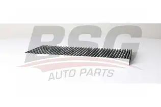 BSG 60145033 Polen Filtresi