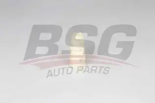 BSG 90700237 Amortisör Lastiği Arka