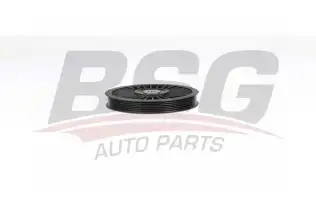 BSG 75615007 V Kayış Gergi Rulmanı