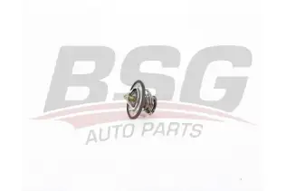BSG 16125007 Termostat