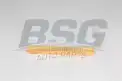 BSG 65135029 Hava Filtresi