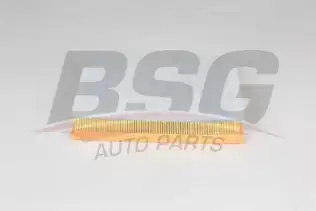 BSG 65135029 Hava Filtresi