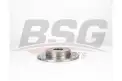BSG 30210045 Fren Diski Arka