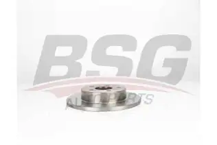 BSG 30210045 Fren Diski Arka