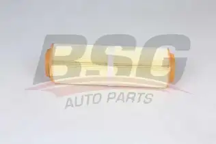 BSG 60135033 Hava Filtresi