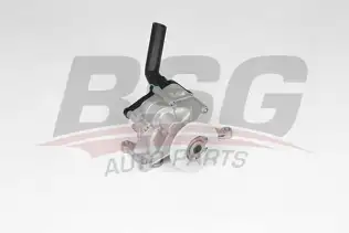 BSG 60101002 Yağ Pompası