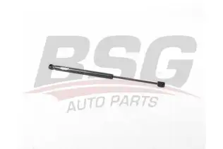 BSG 15980043 Bagaj Amortisörü