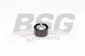 BSG 15615013 V Kayış Gergi Rulmanı