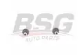BSG 40310112 Viraj Askı Rotu Arka