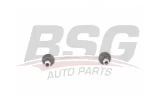 BSG 40310112 Viraj Askı Rotu Arka
