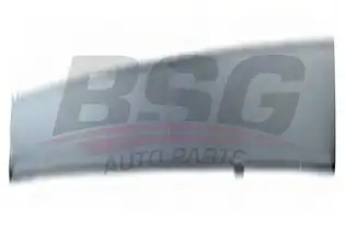 BSG 30924028 Kapı Bandı Ön Sağ