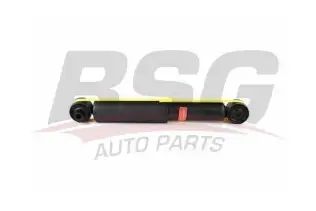 BSG 40300023 Amortisör Arka