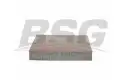 BSG 30145006 Polen Filtresi