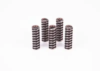 BOSCH 2434614022 Basınç Yayı - 2. Görsel