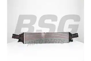 BSG 90535014 Turbo Radyatörü