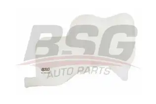 BSG 65550009 Radyatör Yedek Su Deposu