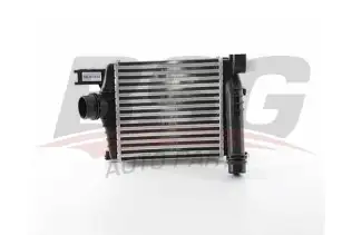 BSG 75535012 Turbo Radyatörü