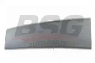 BSG 30924023 Kapı Bandı Ön Sağ
