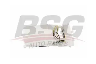 BSG 90830020 Yakıt Pompası