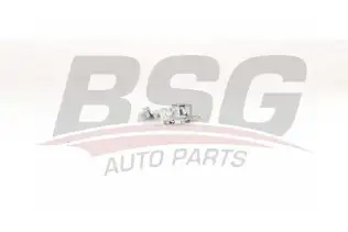 BSG 70975042 Kapı Gergisi Ön