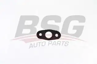 BSG 30116099 Yağ Süzgeç Contası