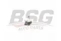 BSG 75310052 Rotil Alt