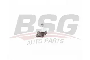 BSG 75310052 Rotil Alt