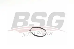 BSG 60116003 Gaz Kelebek Contası