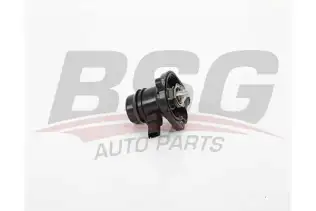 BSG 65125017 Termostat