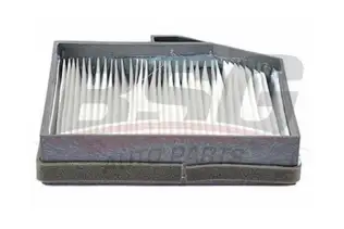 BSG 40145002 Polen Filtresi