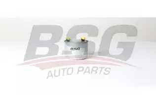 BSG 60130011 Yakıt Filtresi