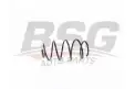 BSG 90305004 Helezon Yayı Ön