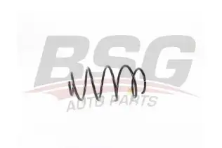 BSG 90305004 Helezon Yayı Ön