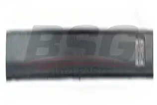 BSG 65925032 Kapı Bandı Ön Sol