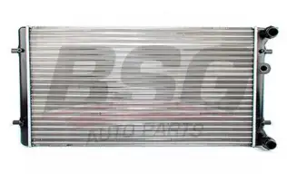 BSG 90520002 Su Radyatörü