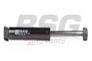 BSG 90980012 Motor Kaput Amortisörü