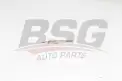 BSG 60870007 Isıtma Bujisi