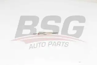 BSG 60870007 Isıtma Bujisi