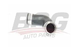 BSG 60720229 Turbo Hortumu