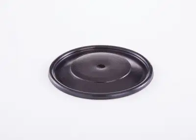 BOSCH 2420503002 Diyafram - 24. Görsel