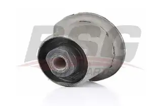 BSG 90700062 Dingil Burcu Arka