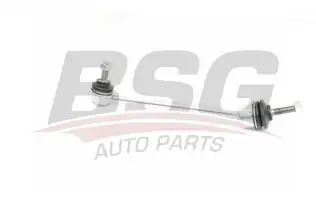 BSG 60310222 Viraj Askı Rotu Ön Sağ