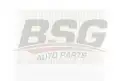 BSG 90145007 Polen Filtresi