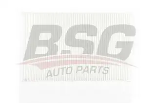 BSG 90145007 Polen Filtresi