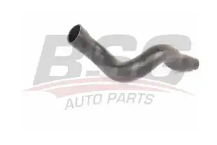 BSG 60720232 Turbo Hortumu