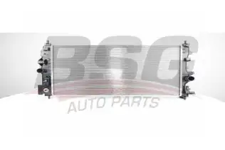 BSG 60535018 Turbo Radyatörü