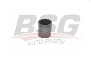 BSG 90720140 Turbo Hortumu
