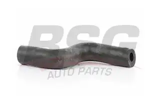 BSG 65720112 Motor Havalandırma Hortumu
