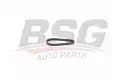 BSG 15116010 Yağ Filtre Hazne Contası