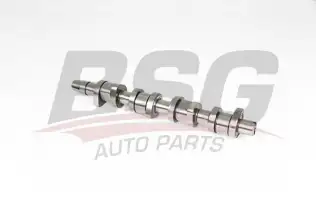 BSG 90108013 Eksantrik Mili